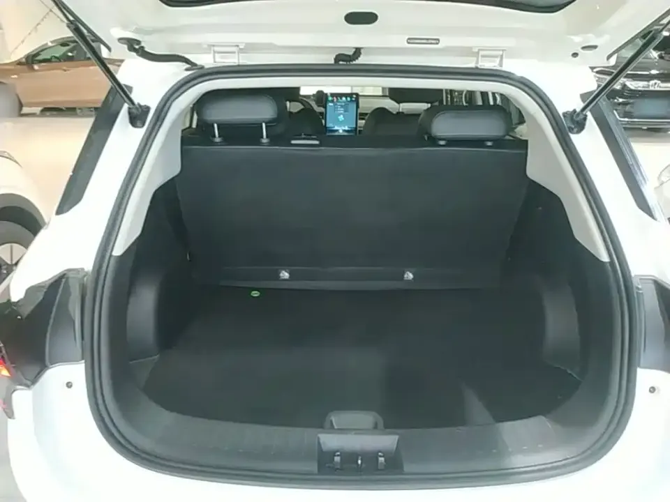 Neta Neta V