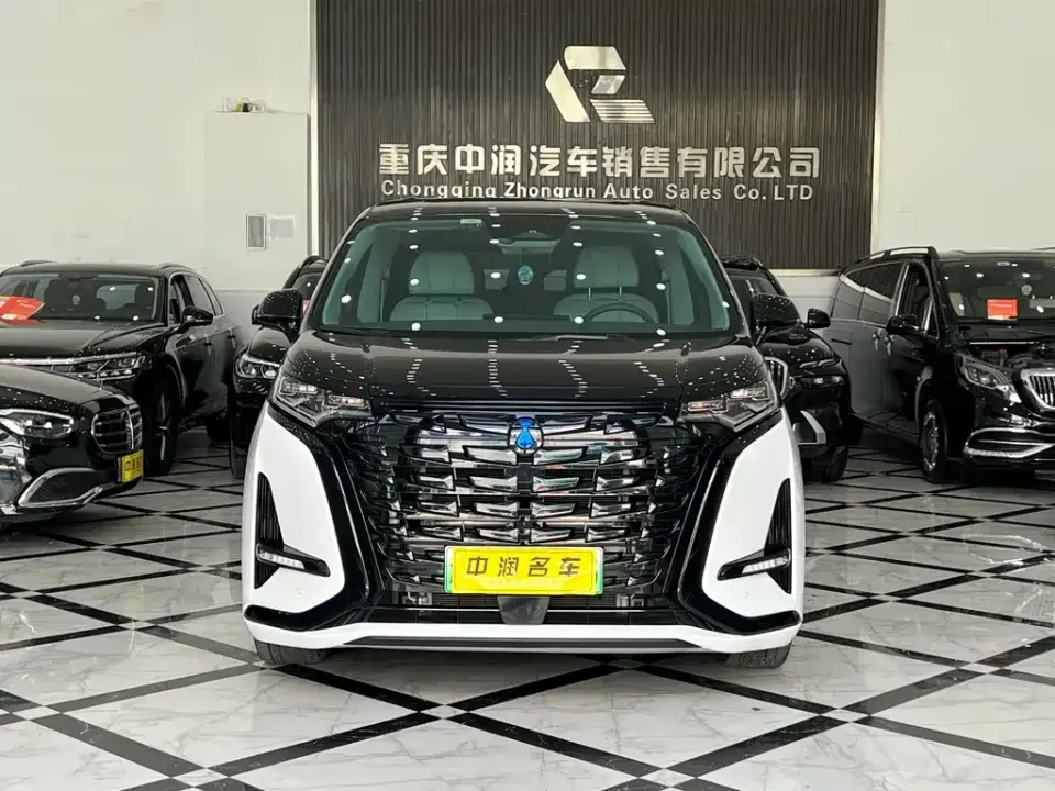 Denza Denza D9