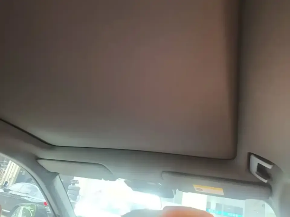 Li Li L6