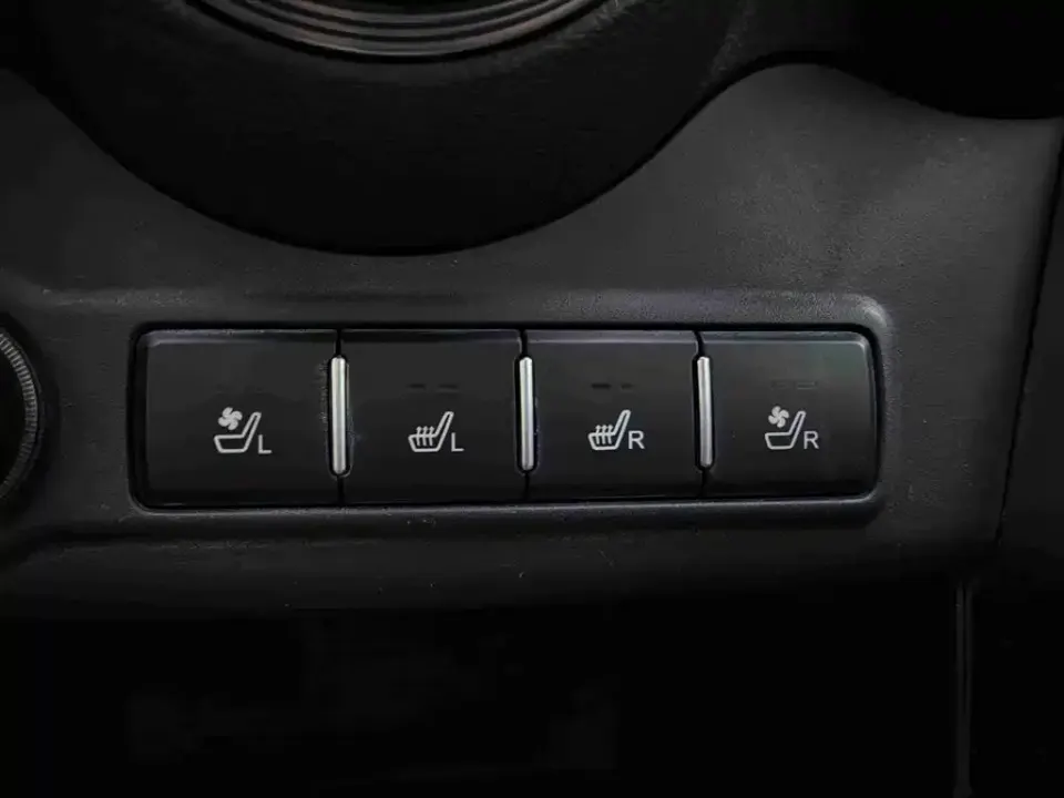 BYD New Energy
