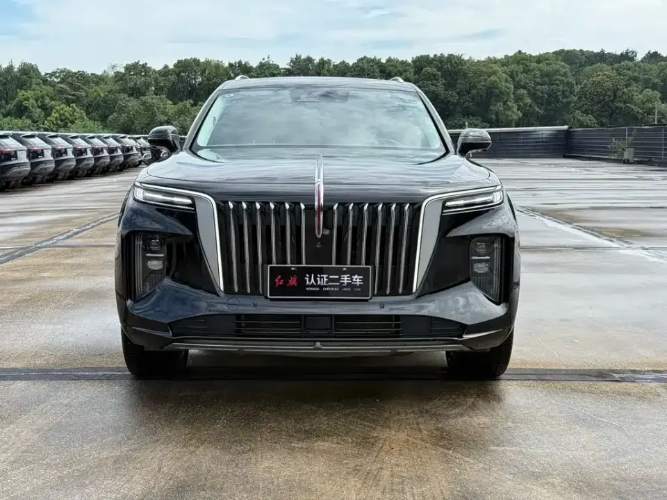 Hongqi Hongqi E-HS9