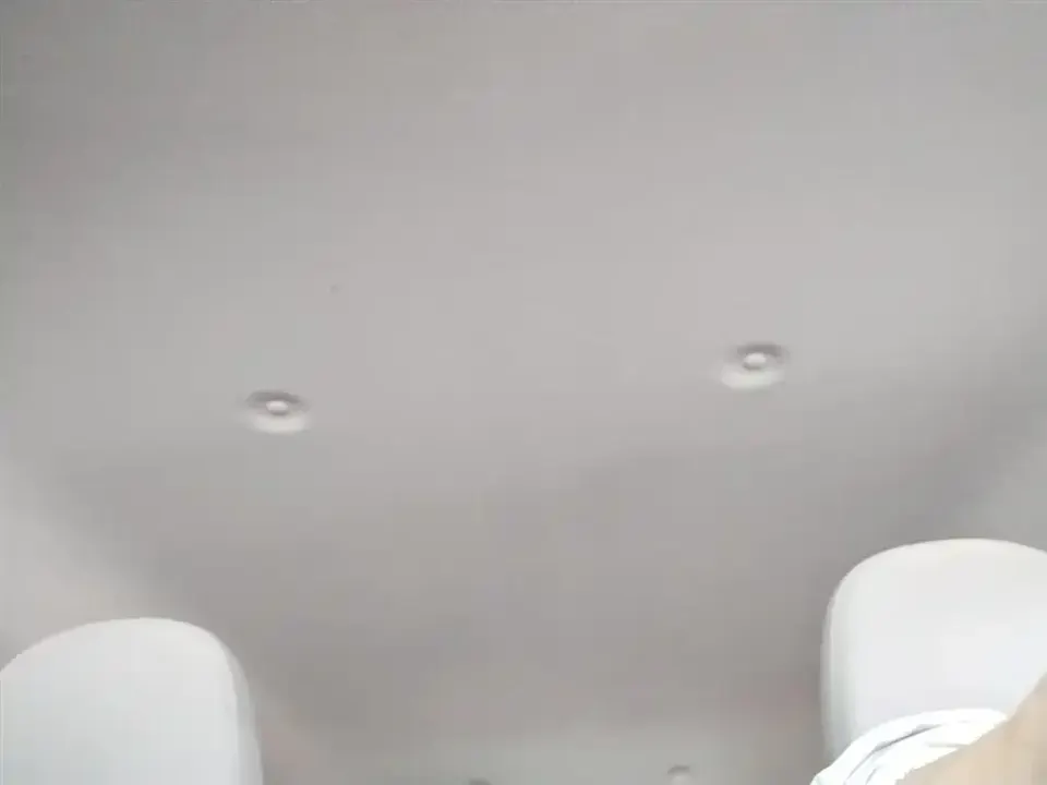 ORA Ora White Cat