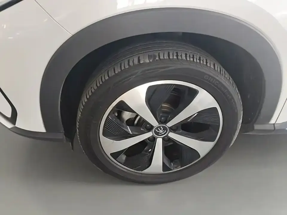 BYD PLUS New Energy