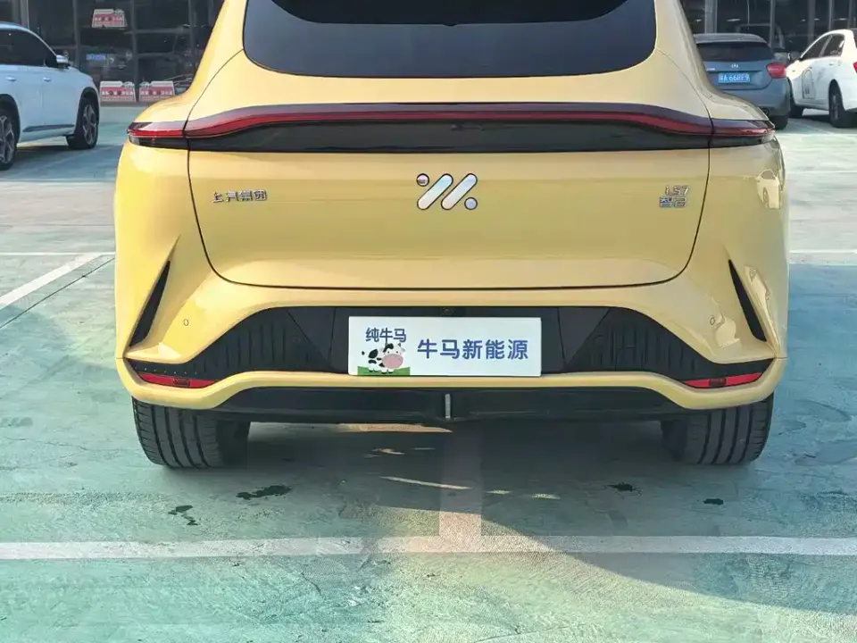 IM Motors IM LS7