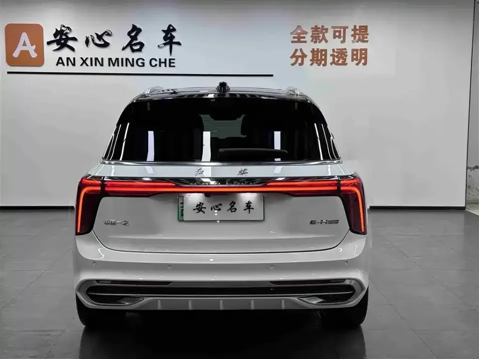 Hongqi Hongqi E-HS9
