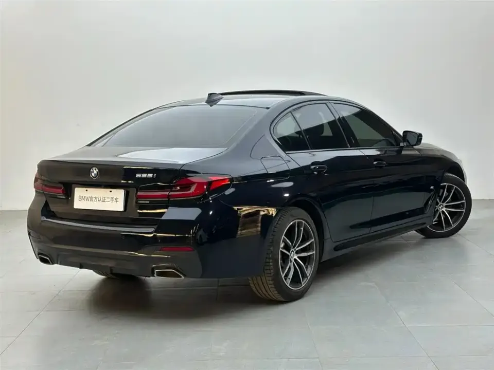 BMW 5 Series (Import)