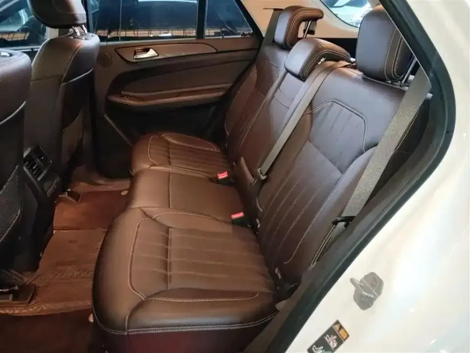 Mercedes-Benz GLE (Import)