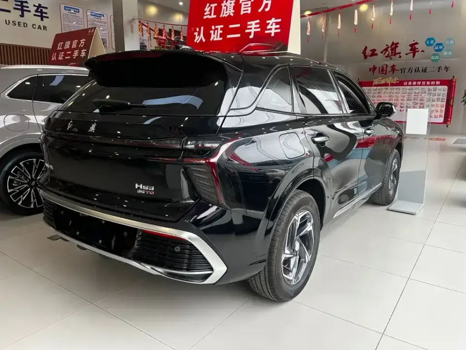 Hongqi Hongqi HS3