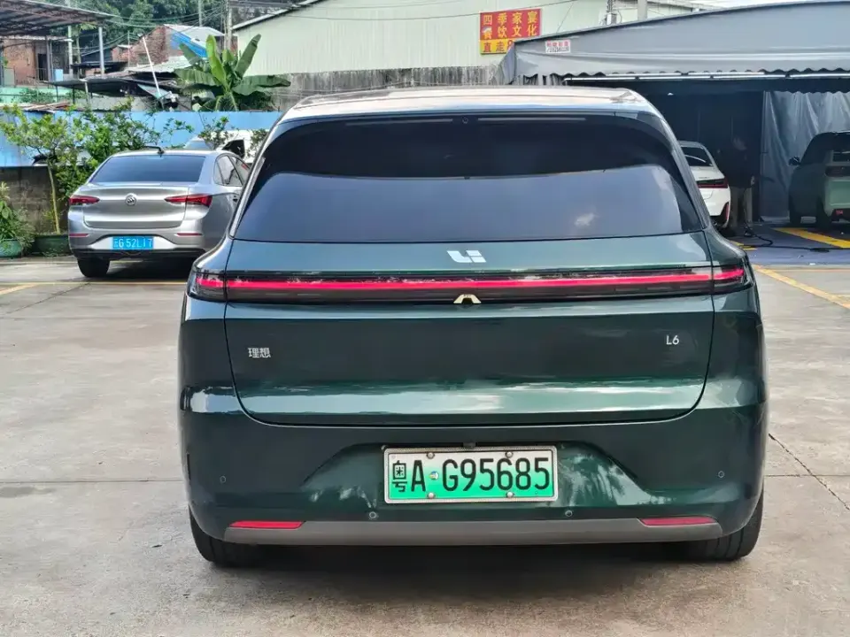 Li Li L6