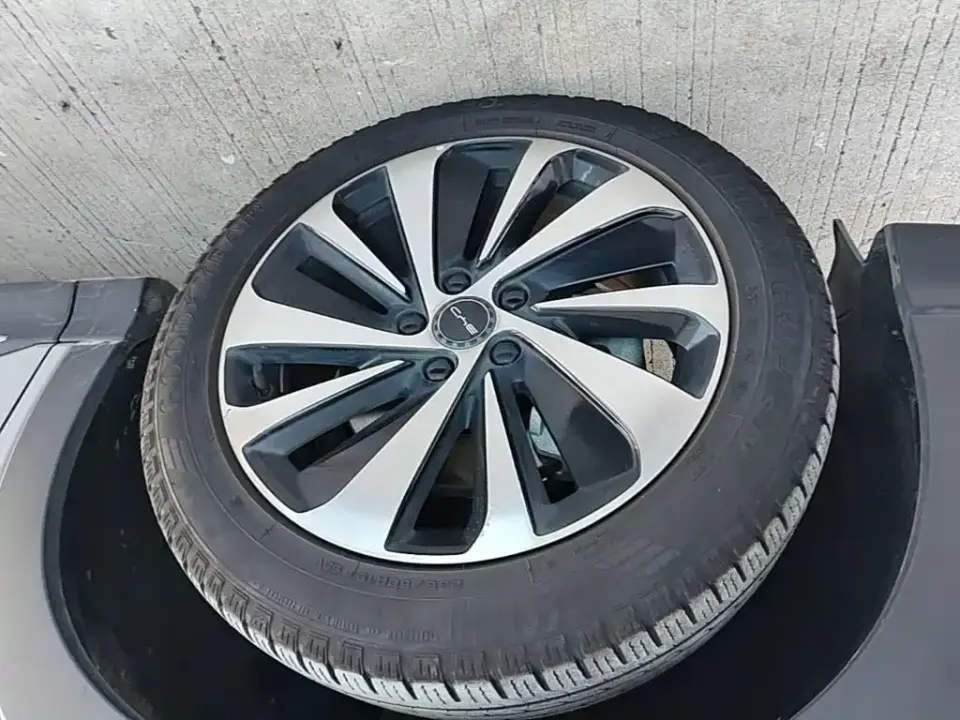 BYD PLUS New Energy