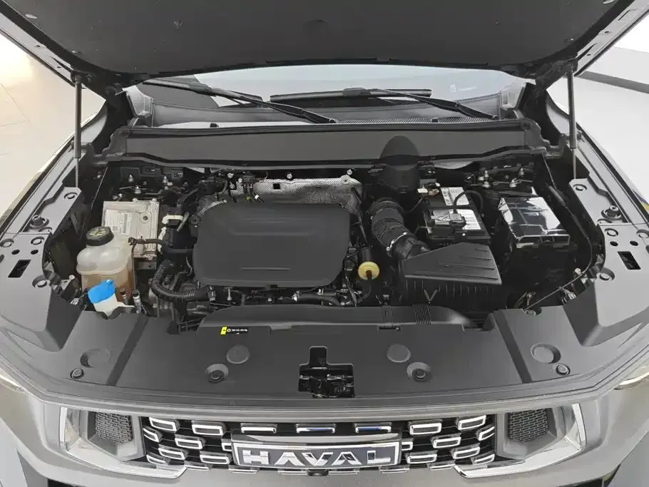 Haval Big Dog PLUS