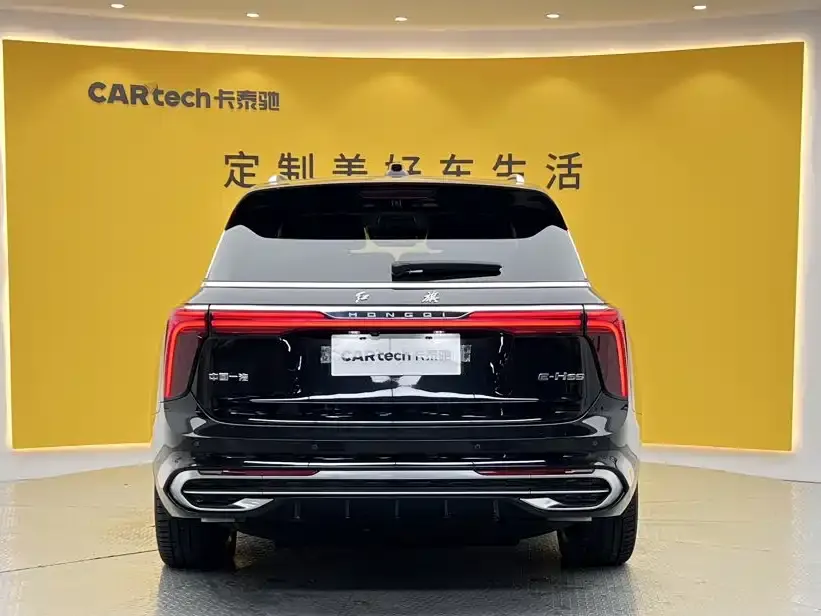Hongqi Hongqi E-HS9