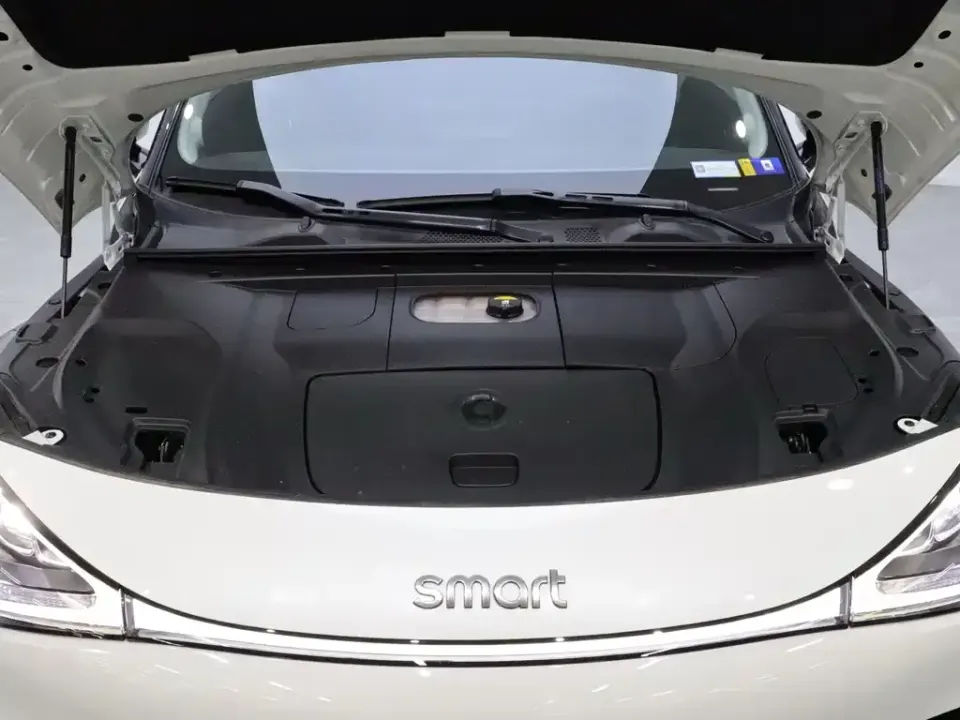 Smart Smart #1