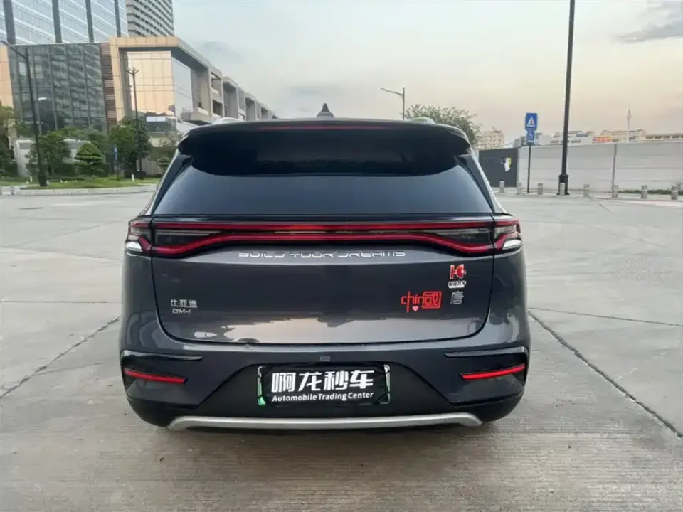 BYD Tang New Energy