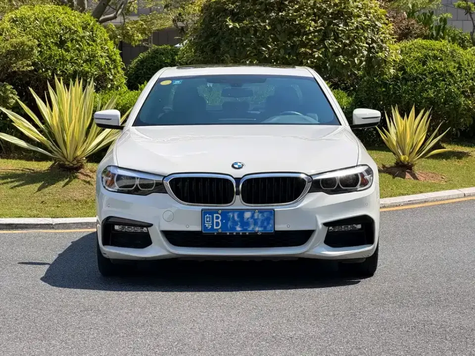 BMW 5 Series (Import)