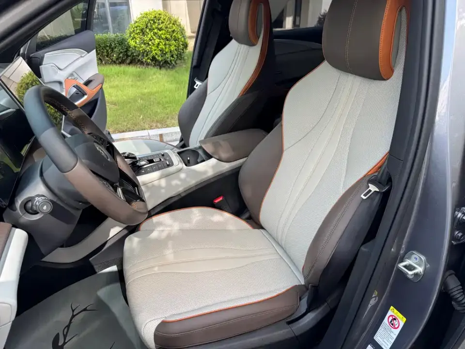 BYD Pro New Energy