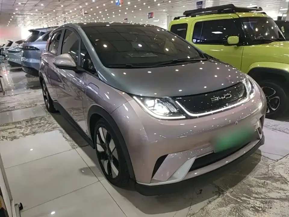 BYD Dolphin