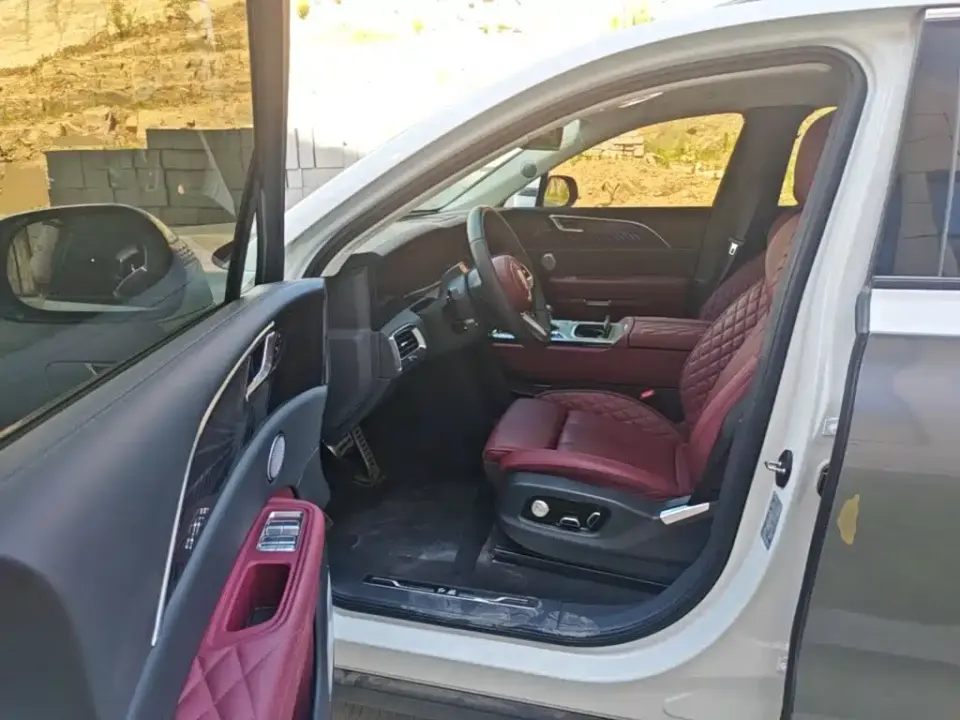 Hongqi Hongqi E-HS9