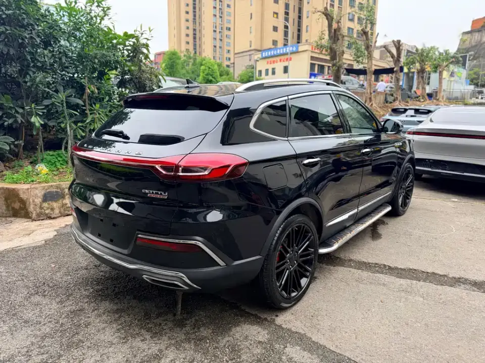 Leopaard Mattu