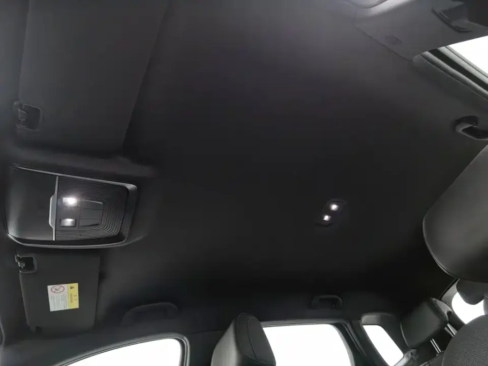 BYD Pro New Energy
