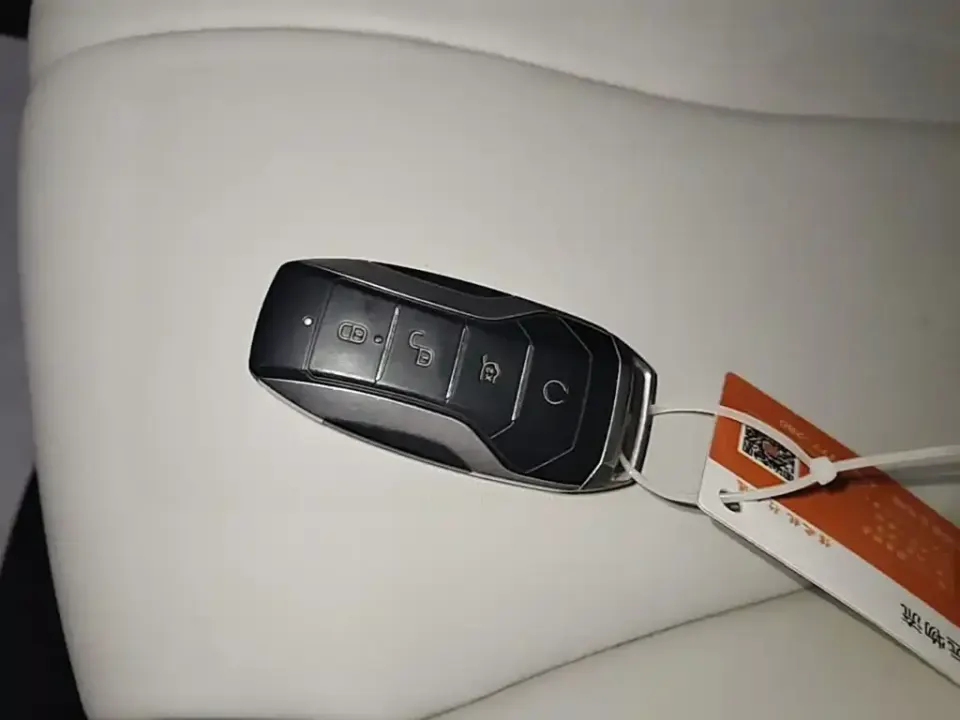 BYD PLUS New Energy