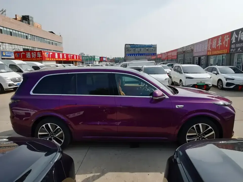 Li Li L9