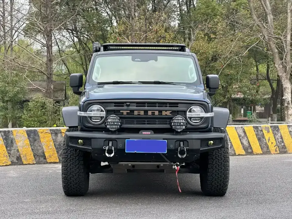 Tank 300