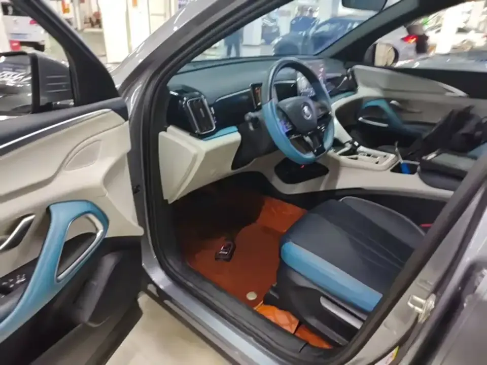 BYD Pro