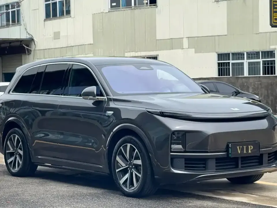 Li Li L8