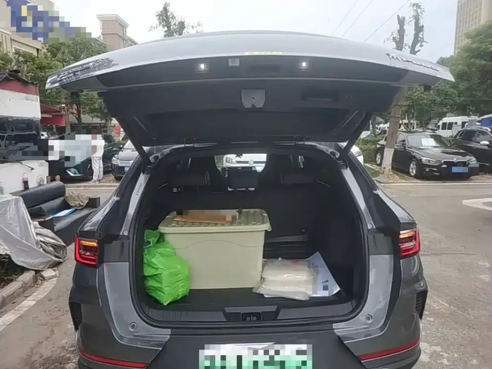 BYD PLUS New Energy