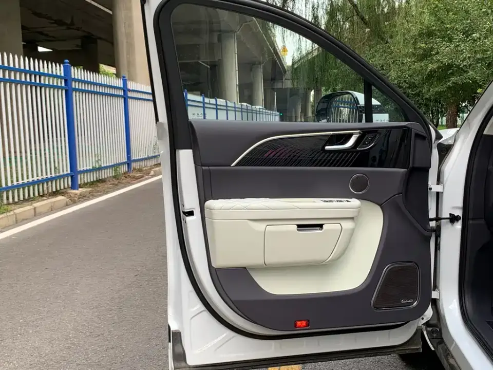 Hongqi Hongqi E-HS9