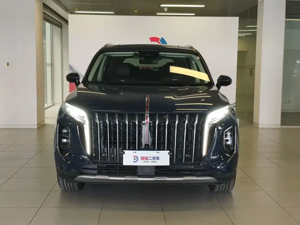 Hongqi Hongqi HS7