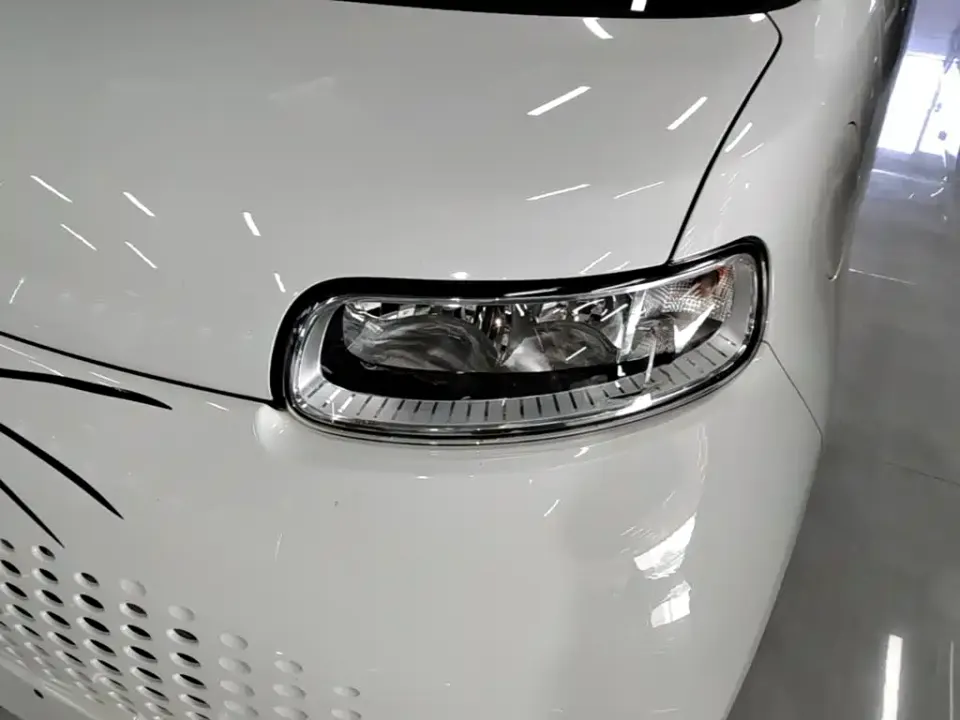ORA Ora White Cat