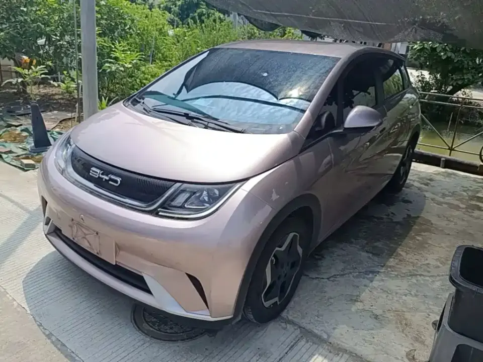 BYD Dolphin