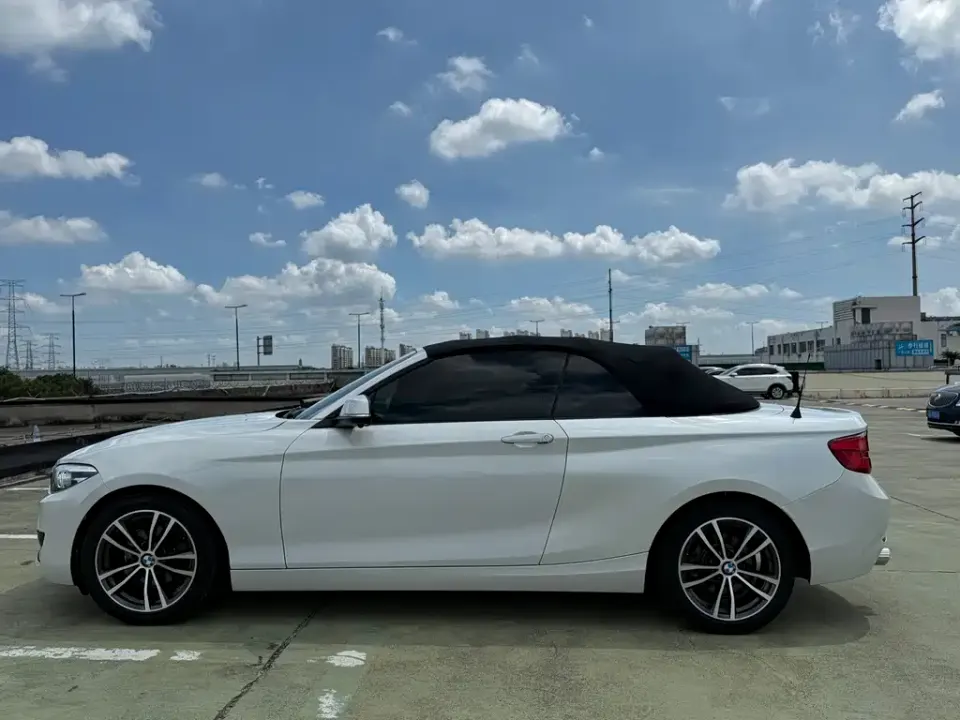 BMW 2 Series (Import)