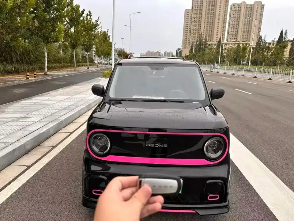 Galaxy Panda