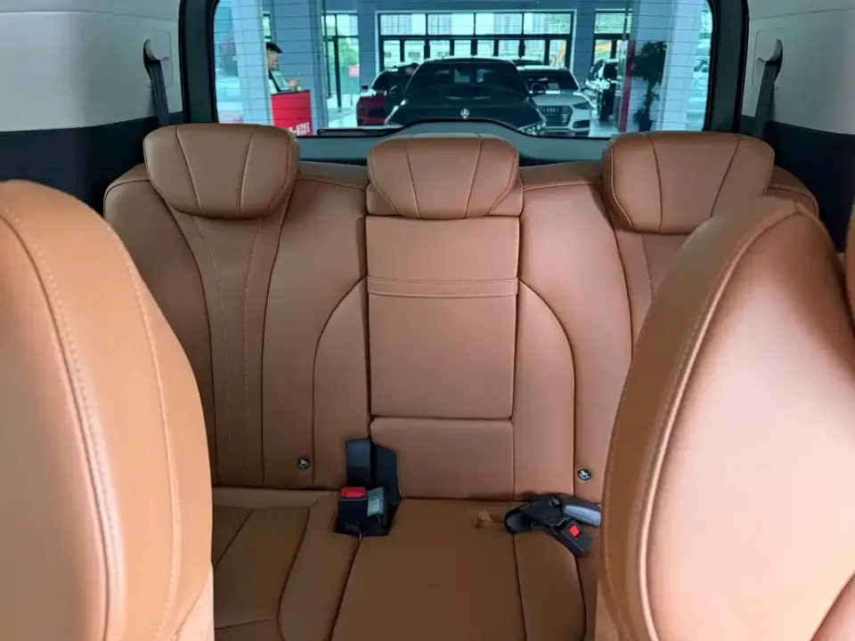 Hongqi Hongqi HQ9
