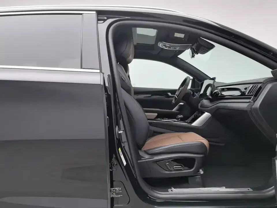 BYD Tang New Energy