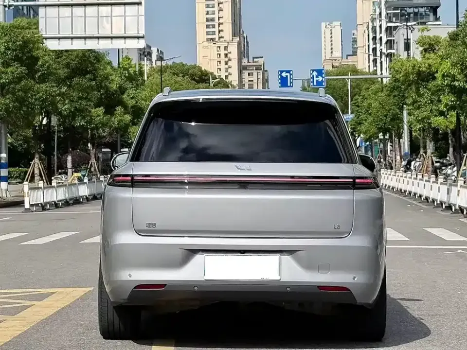Li Li L8