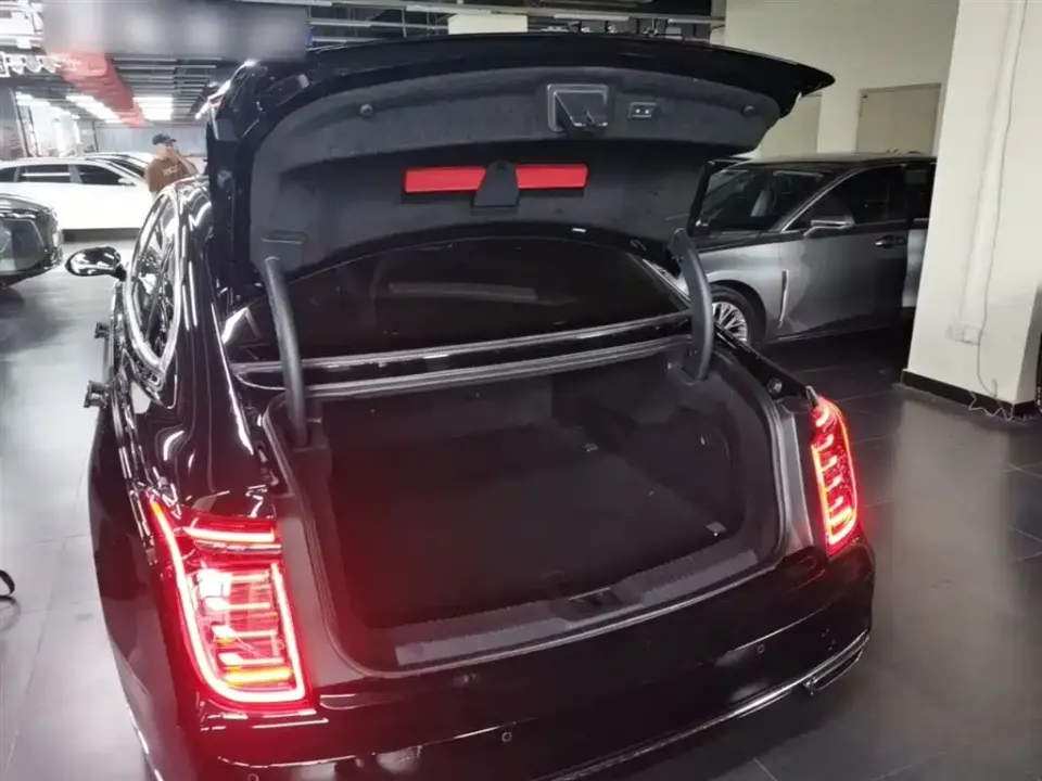 Hongqi Hongqi H9