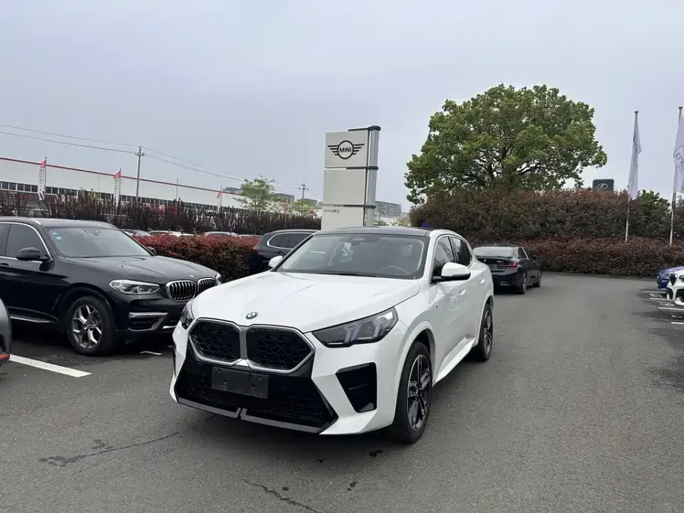 BMW X2 (Import)