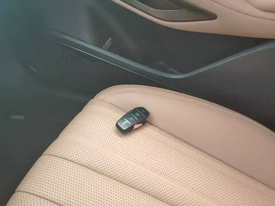 BYD L EV