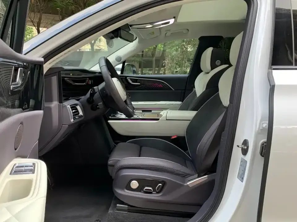 Hongqi Hongqi E-HS9