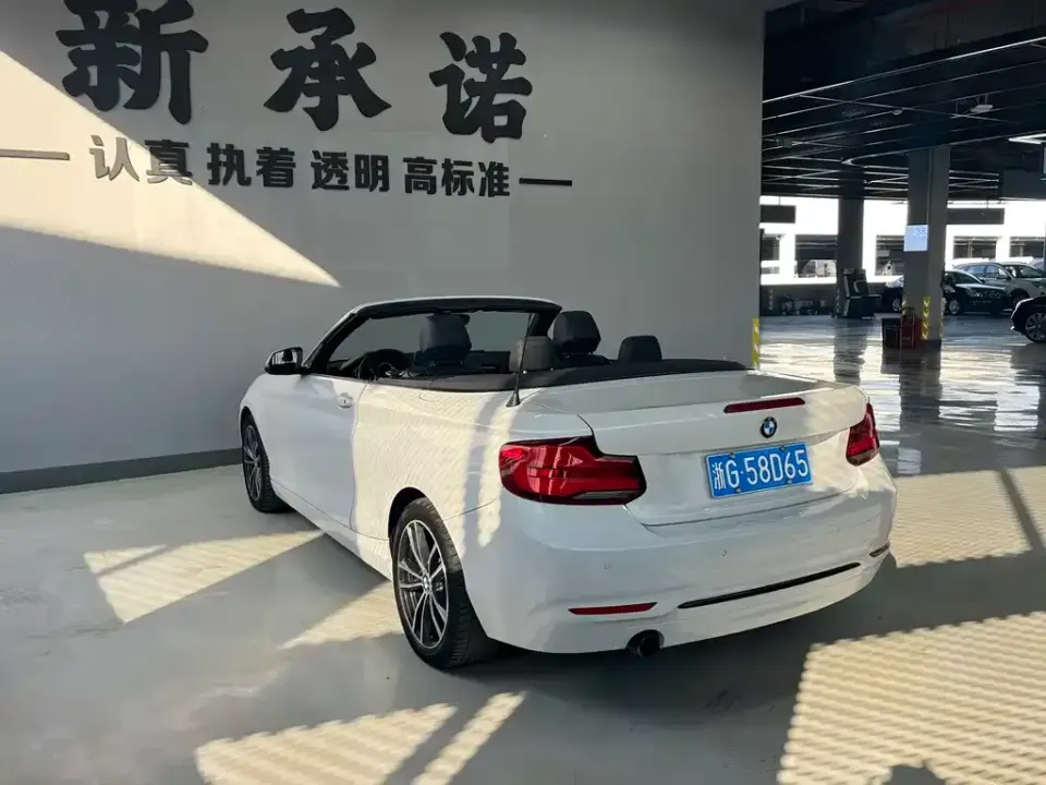 BMW 2 Series (Import)