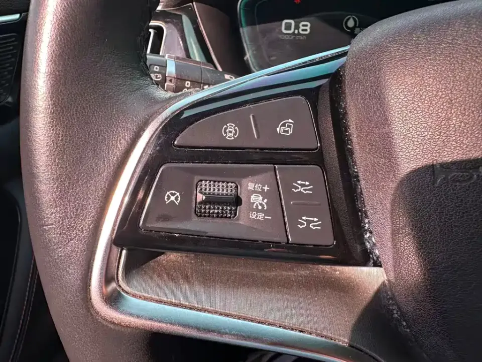 BYD PLUS