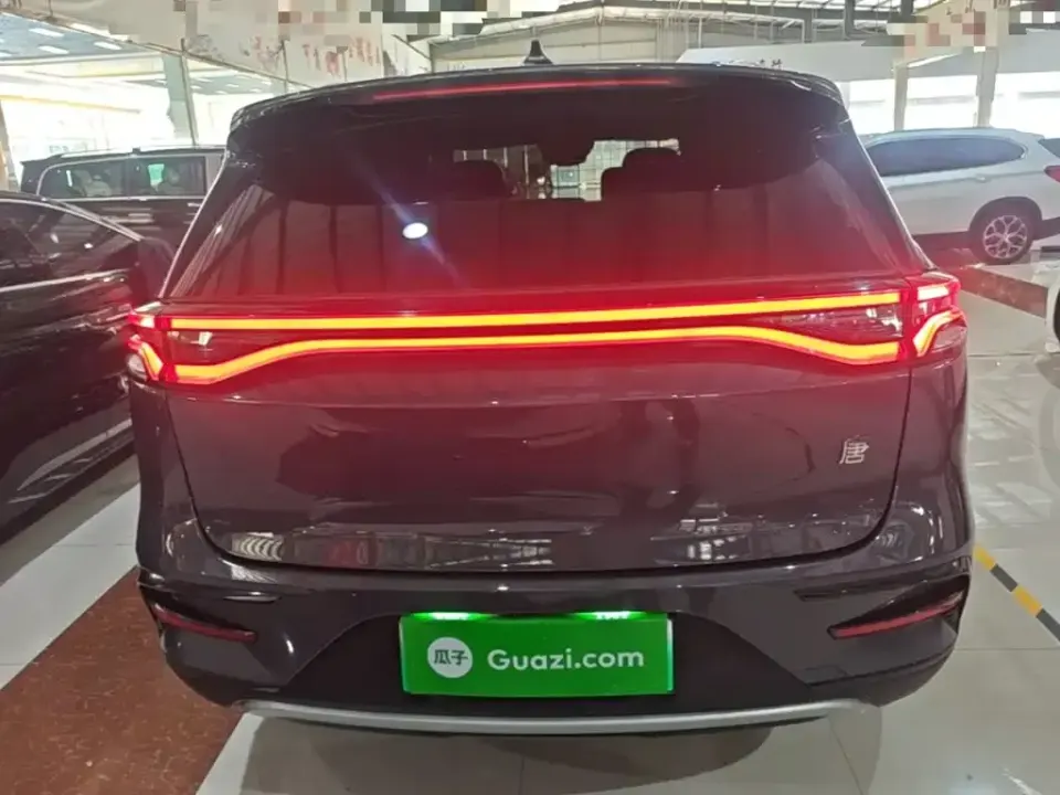 BYD Tang New Energy