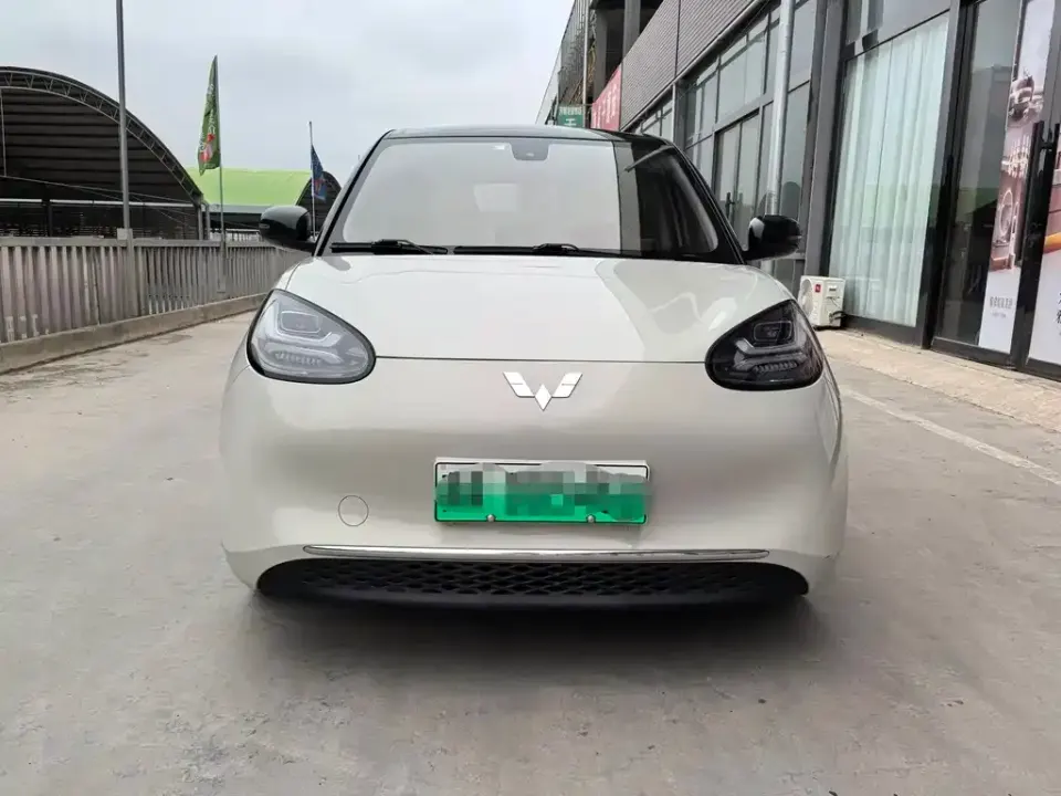 Wuling Bingo