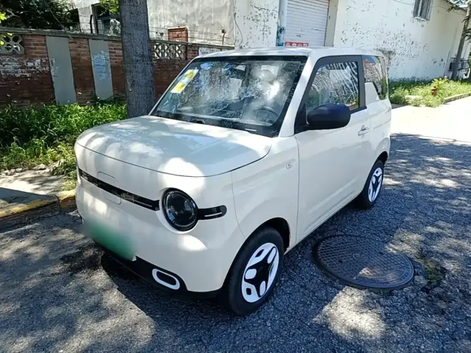 Galaxy Panda