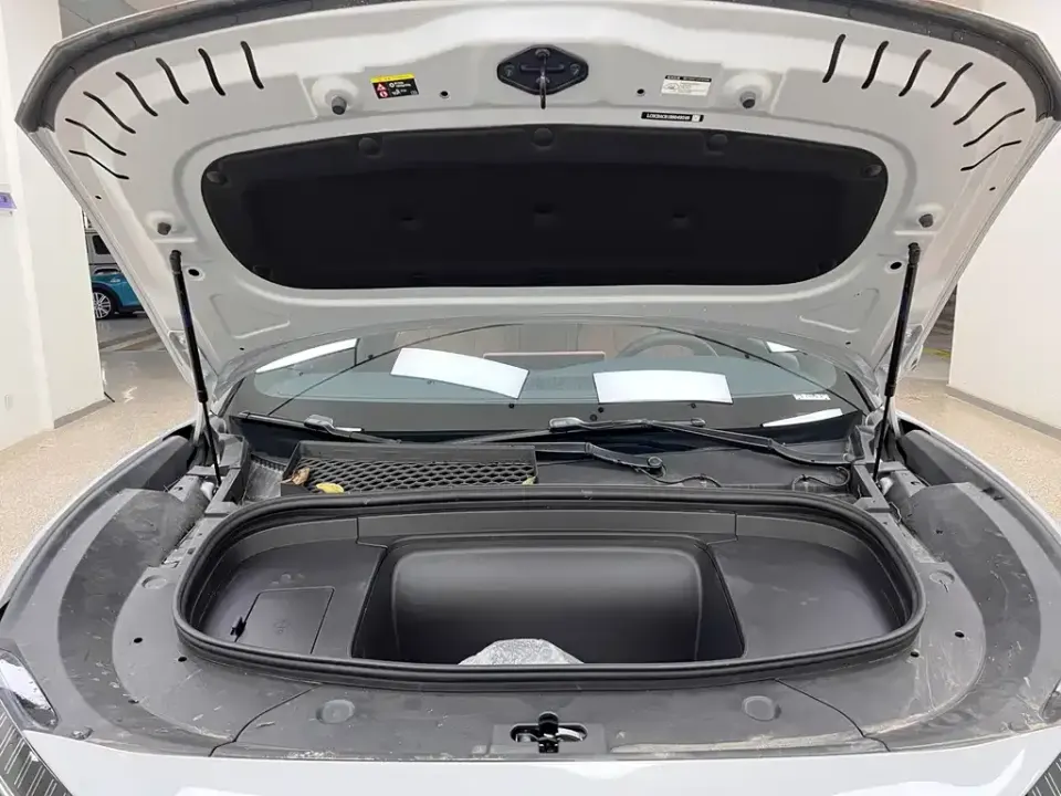 BYD L EV