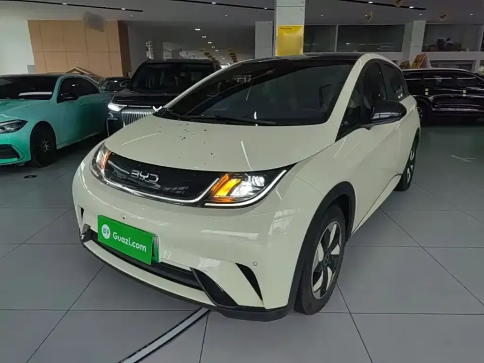 BYD Dolphin